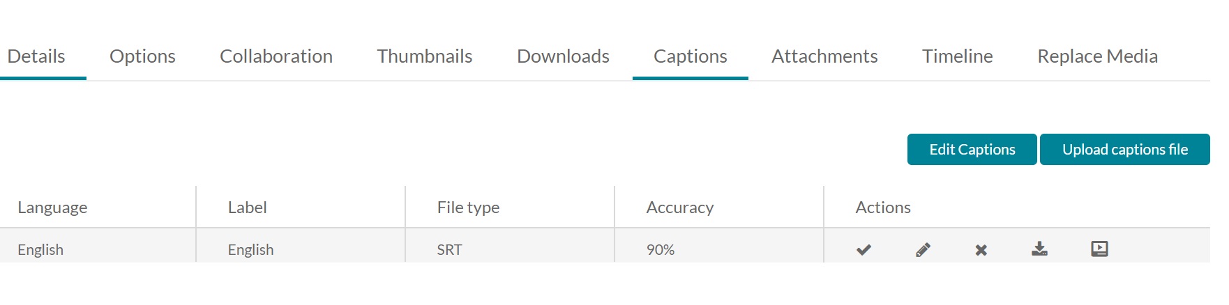 Captions tab on the Action section